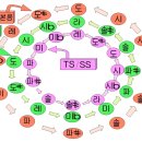 이조 카카오 검색결과