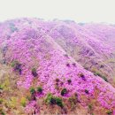 축제코스 이미지