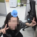 유한회사금강컨벤션 | 2025 건강보험공단 인턴 일기2