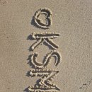 팀블랙파드 이미지