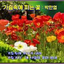 박*만 - 안양시 동안구 경수대로 947 | 박*만
