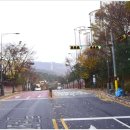 죽전로264번길 이미지