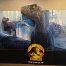 Jurassic World Dominion 이미지