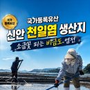 국가등록유산, 신안 천일염 생산지. 소금꽃피는 비금도 염전 이미지