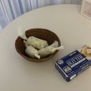 레몬딜버터 이미지