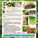벧엘농원 Daum카페