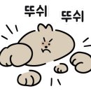 한국체육관 이미지