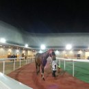 석세스바로 스포츠서울