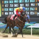 코리안목장 이미지