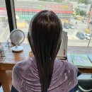 메리엘헤어 이미지