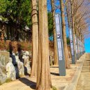 이순신공원(기상대) 이미지