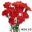 모정 이미지