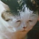 허니문라운지 이미지