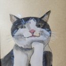 힐링수채화 & 펜드로잉 이미지