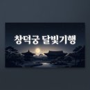 비원다방 | 창덕궁 달빛기행 2026 완벽 가이드 | 예약 취소표 후기 후원 총정리