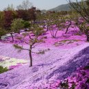 잔디 농장 이미지