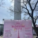 서정타워2차 | [남산] 벚꽃 아래 흐르는 재즈와 와인, 2026 남산 와인페어 방문 후기