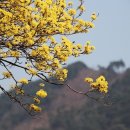 계척시목지 이미지