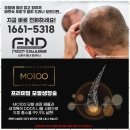 에프앤디 | 머리숱채움 남양주 별내 에프앤디, 믿고 찾는 탈모 솔루션