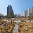 에일린의뜰아파트 상가 앞 횡단보도 | 창원 대원동 에일린의뜰 2단지 30A 저층 단지정원 뷰 예쁜집, 대원동 퍼스트부동산