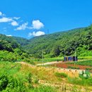 백야자연휴양림 이미지