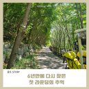 양양군 서면 풋살구장 | 소노펠리체 비발디파크 WEST CC 후기｜6년 전 머리 올린 골프장에서 다시 만난 숲과 우정