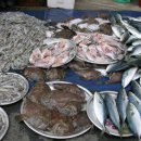 영해시장 이미지