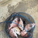 하늘바다낚시터 이미지