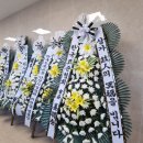 누리한방병원 네이버블로그