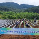 첫눈에반한딸기 영농조합법인 이미지