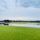 함덕 닭해장국 이미지