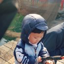 백호좌대 이미지