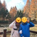 별빛황토펜션 이미지