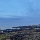 토브앤카라 이미지