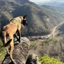 거제시동부면가배보건진료소 | 구리,치매체크/치매 막아주는,콜레스테롤9가지/가배,치매예방놀이터/상주,치매예방/치료제 ‘레켐비...