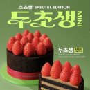 투썸플레이스 - 정선군 하이원길 175 | 투썸플레이스