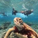 25 필리핀 보홀 팡라오 가족여행 첫날과 둘째날 이미지