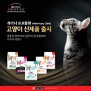 퓨리나동물병원 이미지