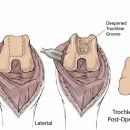 의왕동물병원 이미지