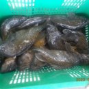 CU(대산삼길포점) 이미지