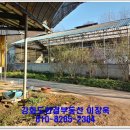 강화목장 이미지