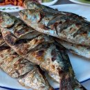 섬진강 망덕포구 이미지