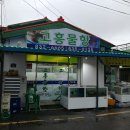 고흥물항 네이버블로그