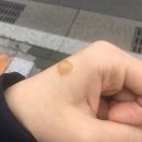 부강외과의원 이미지