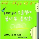 하와이 전통악기 우쿨렐레 이미지