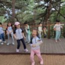 천보산 유아숲체험원 이미지