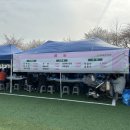 [양평/벚꽃구경] 양평 편안히 모시겠습니다(- -)(_ _)(- -)(_ _) 당일치기 (벚꽃)코스로 강력 추천...
