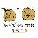 세븐일레븐 양산드림점 | LA칸쿤신혼여행-9)호텔가격,세븐일레븐 불닭볶음면 하얏트지바 체크아웃→시크릿더바인 체크인, 블루...