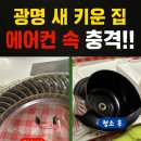 시청로 138번길 네이버블로그