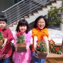 도담초등학교 이미지